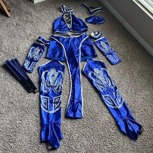 Kitana Costume, Used, with fans